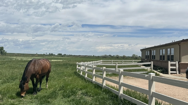 Hourse Farming at Flatirons Recovery