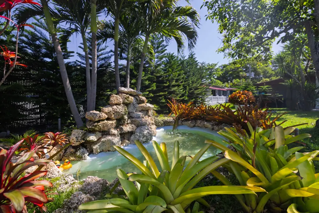 Tropical koi pond and waterfall garden on the Harbor Village Miami campus